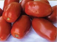 offerta pomodoro da salsa 10 kg 
