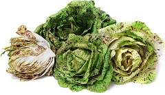 Radicchio variegato castelfranco  pezzo (circa 250g)