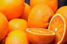 cassa arance valencia 10 kg