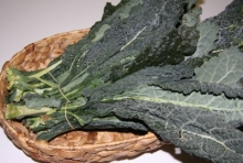 Cavolo nero ( 500 GR )