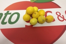 Limoni ( 500 GR )