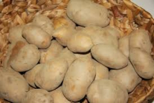 10 kg patate gialle
