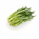 cicoria puntarelle 500 gr