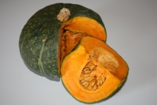 Zucca Delica 
