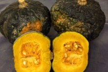 zucca iron cup (peso circa  1,5 kg) 
