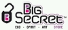 logo Big secret